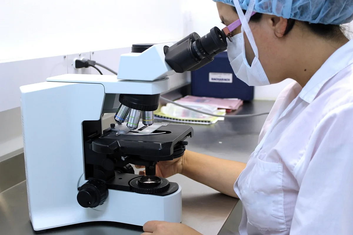 Schéma stylisé montrant des bactéries Lactobacillus protégeant la muqueuse vaginale